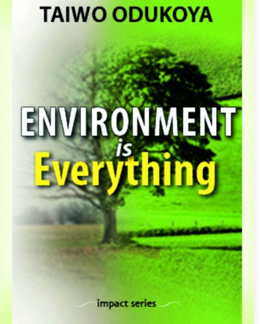 ENVIRONMENT-IS-EVERYTHING-615x1024